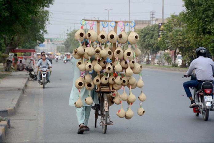 A street vendor displays crafted artificial bird nests for garden décor to attract customers on his bicycle in the local market