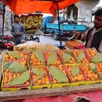 A vendor displays fresh seasonal fruit Japanese plum (Loquats) at his pushcart to attract customers in the provincial capital