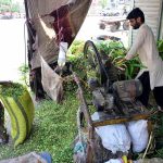 A vendor operates a machine to cut green fresh fodder for livestock at his workplace