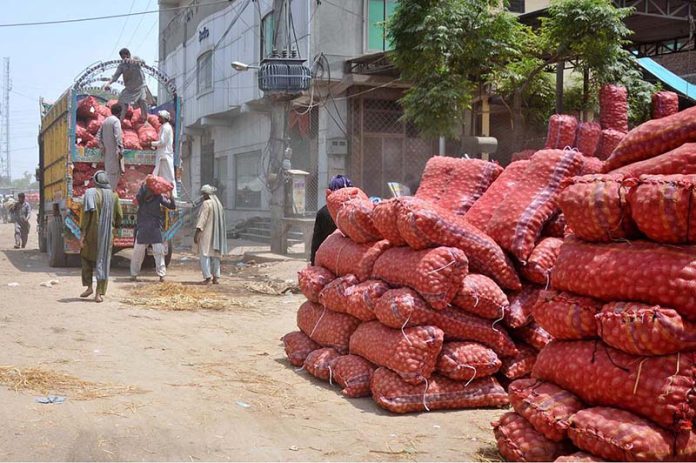 Daily wage laborers unloading heavy sacks of potatoes from a delivery truck at vegetable market. Braving intense heat and physical strain, these workers form the backbone of the city’s agricultural supply chain