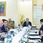 Prime Minister Muhammad Shehbaz Sharif chairs a review meeting on Danish Schools and University