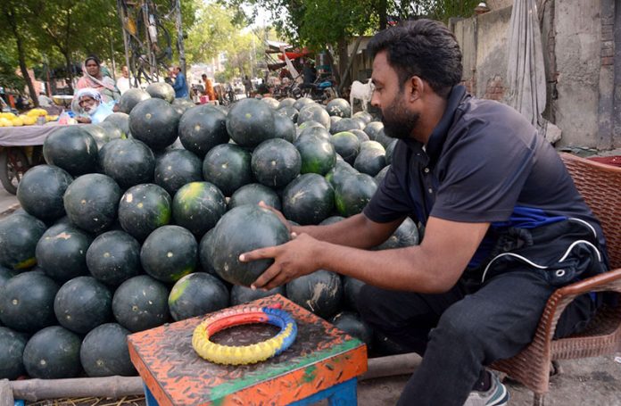 A vendor displays watermelons, a best source of hydration in the extreme heat, to attract customers in the provincial capital
