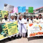 All Pakistan Bee Keeper Exporter and honey Trader Association held a walk on World Honey Bee day at GT road