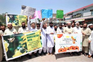 All Pakistan Bee Keeper Exporter and honey Trader Association held a walk on World Honey Bee day at GT road