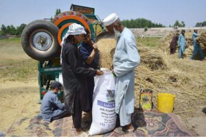 Farmers using a thresher machine to separate wheat from chaff at Northern bypass