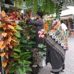 A vendor displays artificial plants to attract customers at the H-9 weekly bazaar in the Federal Capital
