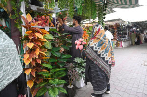 A vendor displays artificial plants to attract customers at the H-9 weekly bazaar in the Federal Capital