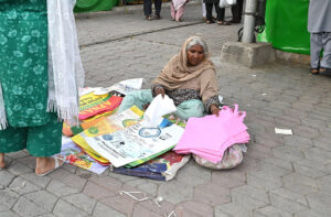 A vendor displays artificial plants to attract customers at the H-9 weekly bazaar in the Federal Capital