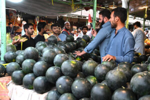 A vendor displays artificial plants to attract customers at the H-9 weekly bazaar in the Federal Capital