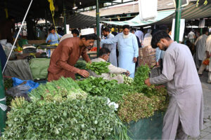 A vendor displays artificial plants to attract customers at the H-9 weekly bazaar in the Federal Capital