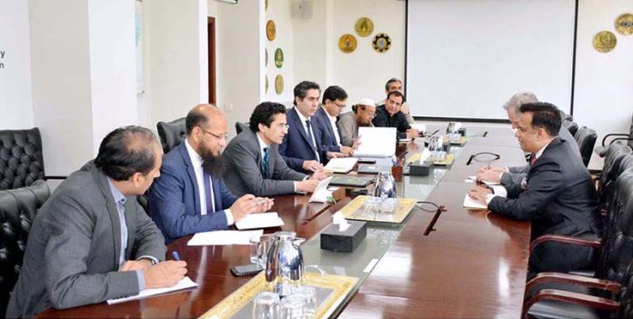 Deloitte Advisory US delegation meets Federal Minister for Petroleum Ali Pervaiz Malik to discuss energy sector collaboration