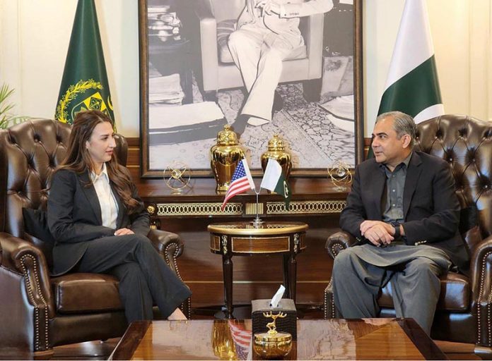 Federal Minister for Interior Mohsin Naqvi in a meeting with Acting US Ambassador Natalie Baker