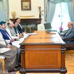 MNAs call on PM Shehbaz, laud pro-people Budget 2025