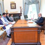 PM discusses constituencies' issues with MNAs in separate meetings