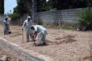 CDA worker busy in watering plants while sitting on the water tanker on green belts at Club road