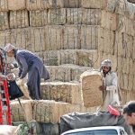 Labourers unload bundles of chaff from a delivery truck in Bharakahu area of the federal capital