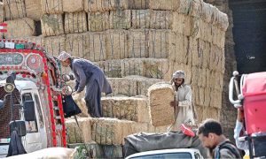 Labourers unload bundles of chaff from a delivery truck in Bharakahu area of the federal capital