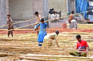 A large number of labourers busy in cleaning bamboo at Old Subzi Mandi area.