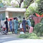 People are purchasing green fodder from vendor for sacrificial animals in connection with Eidul Azha