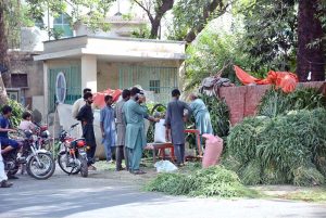 People are purchasing green fodder from vendor for sacrificial animals in connection with Eidul Azha