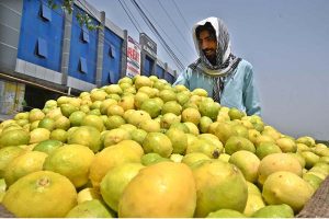 A vendor arranging and displaying seasonal fruit ‘peach’ to attract the customers