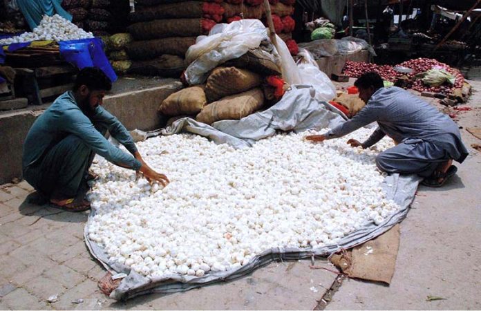 Vendors arranging and selling garlic to attract customers at Vegetable market