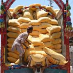 Labourers busy in unloading sacks of flour from a delivery truck.