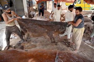 People curing animal hides after collecting on the 3rd day of Eid Ul Azha at his workplace near Old Fish Market