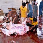 People slaughtering sacrificial animals as the religious ritual on the 2nd day of Eid ul Azha.