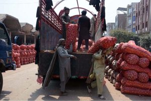 Laborers unloading onion filled bags from a delivery truck at vegetable market