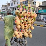 A street vendor sells handmade bird nests on his bicycle while strolling on College Road in the city