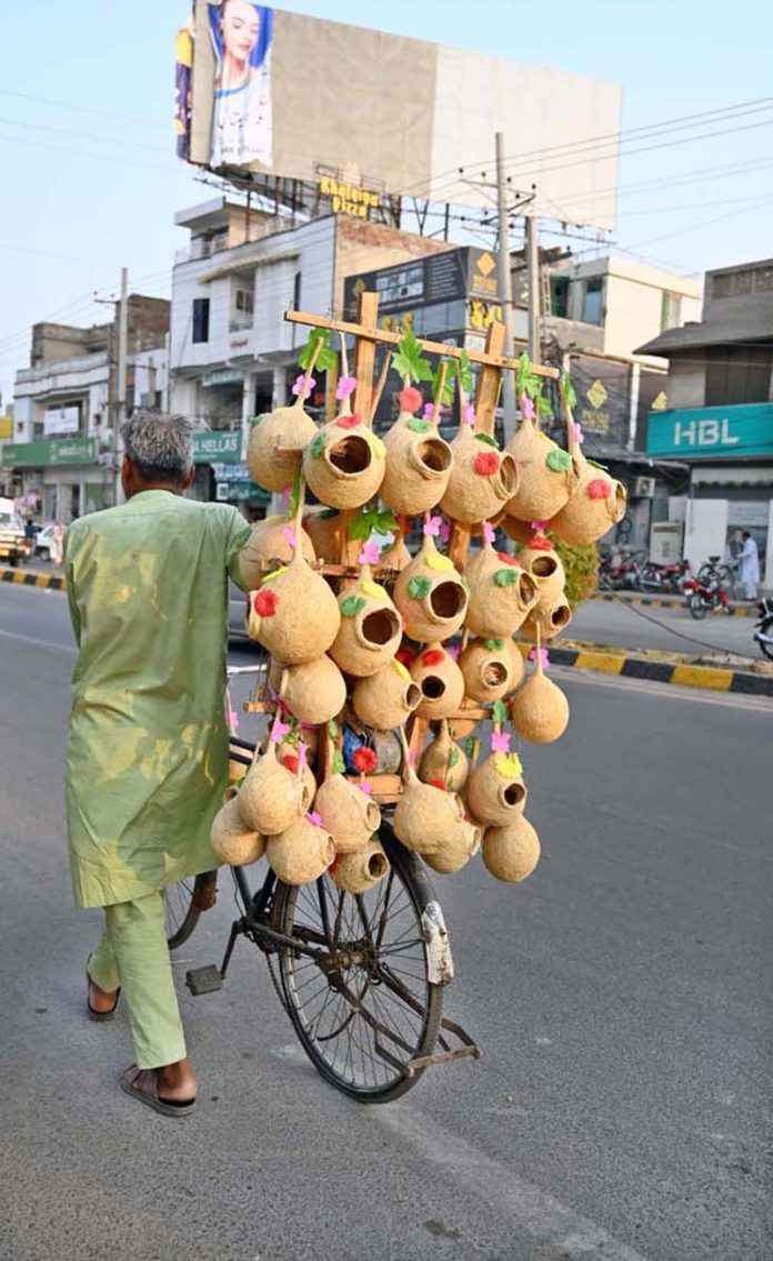 A street vendor sells handmade bird nests on his bicycle while strolling on College Road in the city