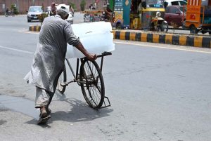 A vendor sells plastic balls displayed in handmade nests on his bicycle at College Road