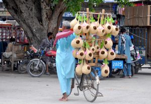 A street vendor selling handmade bird nests while shuttling on the road to attract customers.
