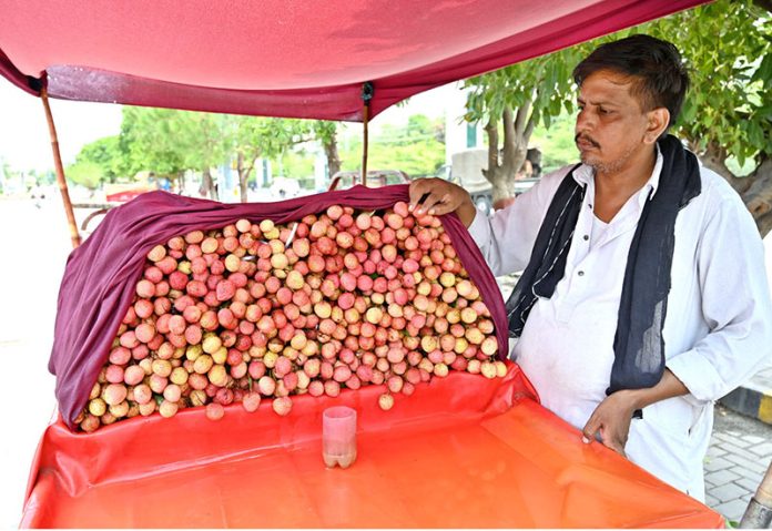 A vendor displays seasonal fruit “lychee” on his handcart along Murree Road to attract the customers