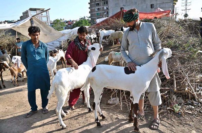 APP18-010625Islamabad
