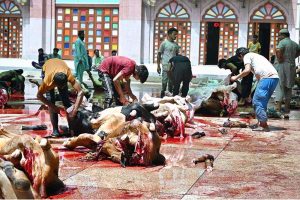 Butchers slaughtering sacrificial animals at Jamia Naeemia on the 1st day of Eidul Azha