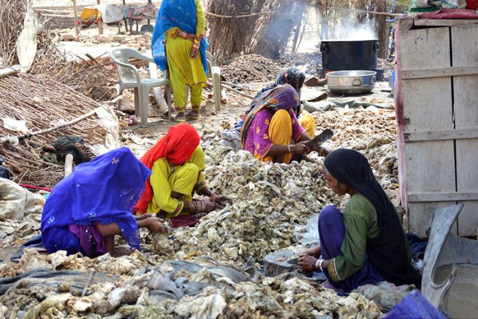 Gypsy women busy in preparing the sacrificial animals fat ghee at Latifabad