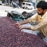 The vendor is decorating the summer fruit Falsa to attract customers at his roadside setup