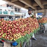A vendor selling seasonal fruit lychee on his cart