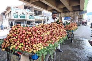 A vendor selling seasonal fruit lychee on his cart