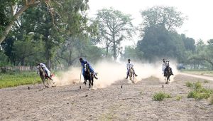 Horse riders of Omani Bike Busher Club exhibiting their skills during their visit to Tehsil Bhalwal.
