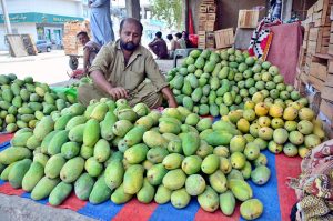 A vendor displays fresh mangoes to attract passersby at the local fruit market