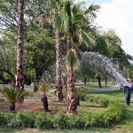 CDA workers busy showing water on trees along Srinagar Highway in Federal Capital