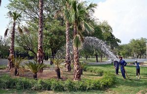 CDA workers busy showing water on trees along Srinagar Highway in Federal Capital