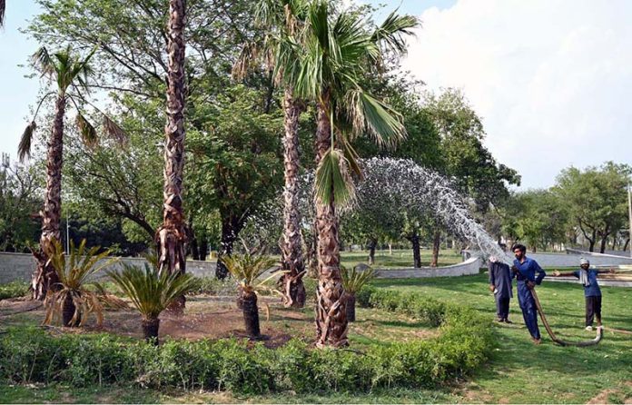 CDA workers busy showing water on trees along Srinagar Highway in Federal Capital