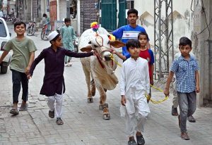 Youngsters with their sacrificial animal roam the city streets, adding to the festive spirit ahead of Eid-ul-Adha.