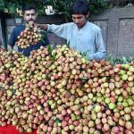 A vendor selling seasonal fresh lychees at a roadside stall in the provincial capital