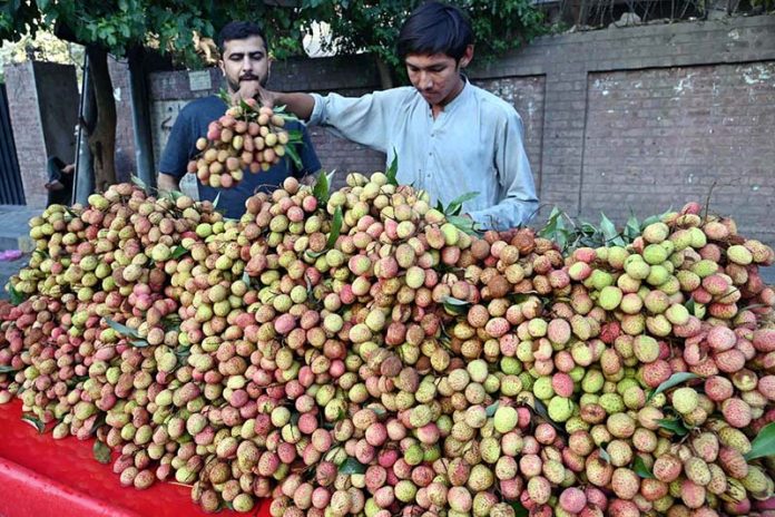 A vendor selling seasonal fresh lychees at a roadside stall in the provincial capital
