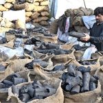 Vendor displaying coal to attract the customers for Bar B Q at G-7 in connection with Eidul Azha